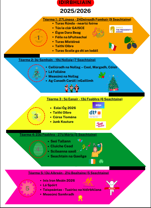 Transition Year Programme